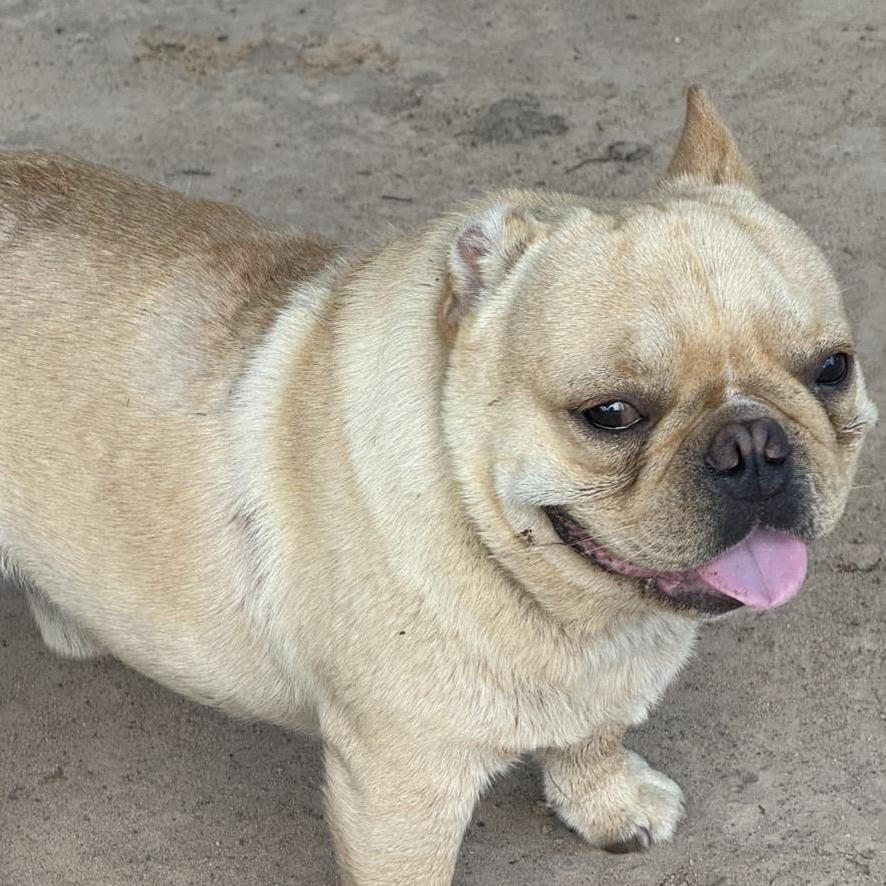 ออยแอนเดอะแก็งค์