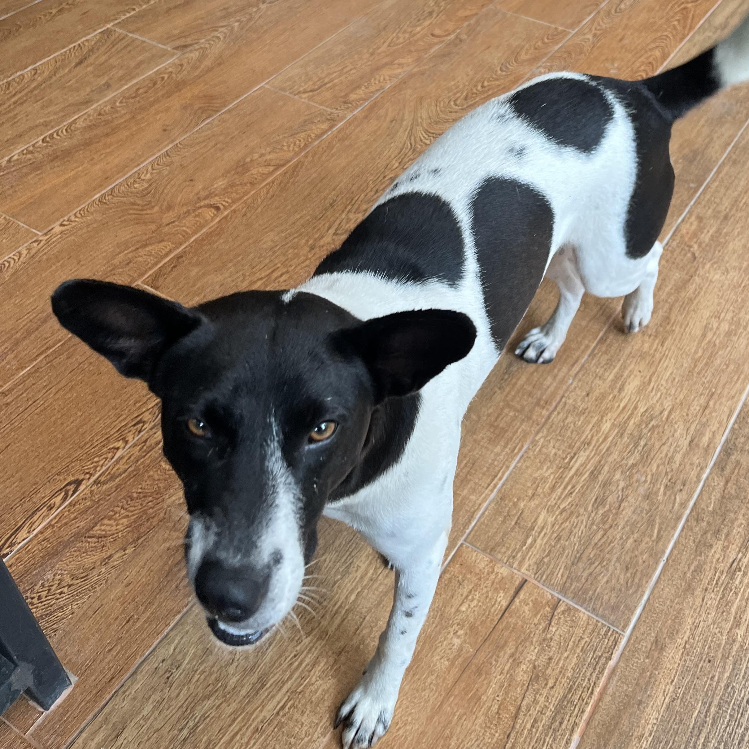 ไอ้ดำหน้า7พูนทรัพย์ ปทุมธานี