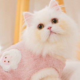 รุ้งอรุณ สอนปัน