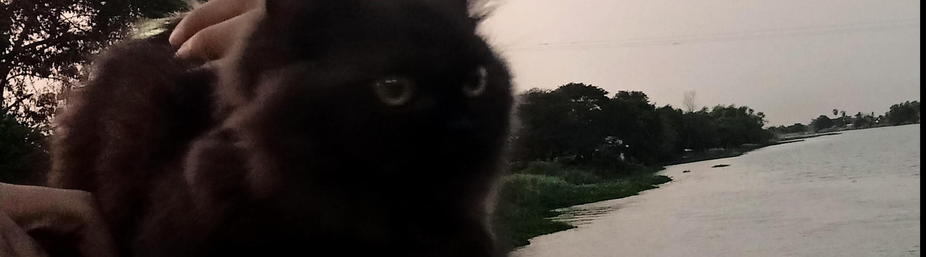 Sutaporn Chomphoosri