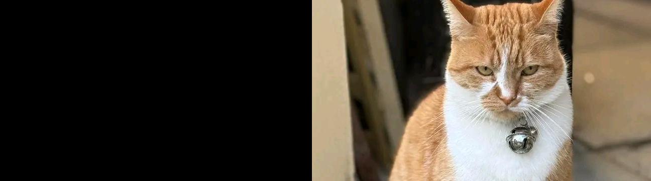 โสภาภรณ์ ภูมิจีน