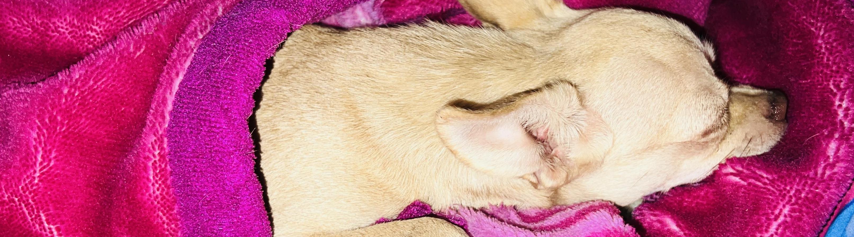 วีระชาติ โมทารัตน์