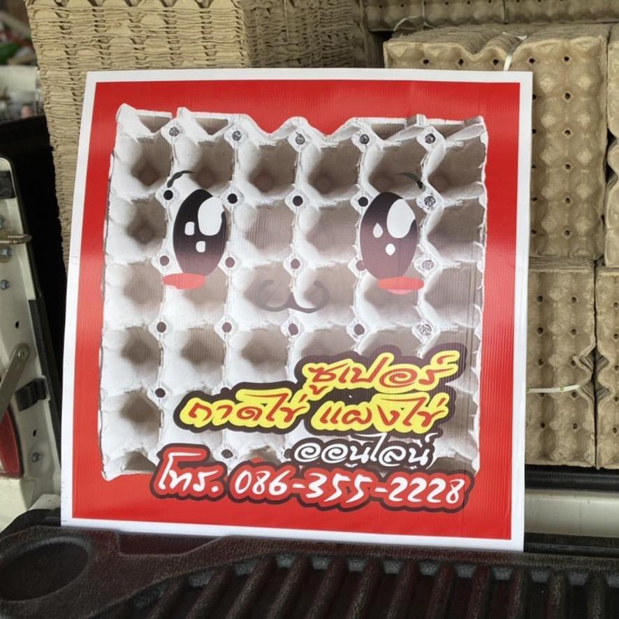 ซูเปอร์ถาดไข่ออนไลน์ขายปลีกและส่ง