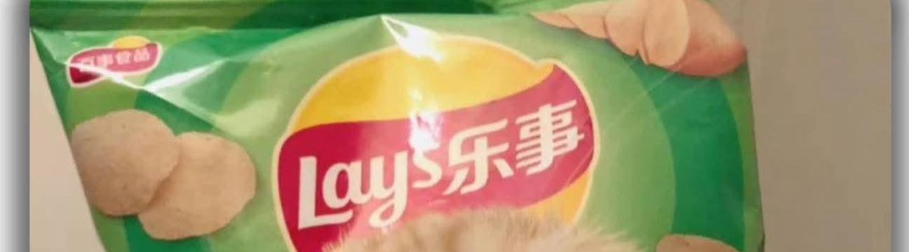 หมู เด้งๆๆๆ