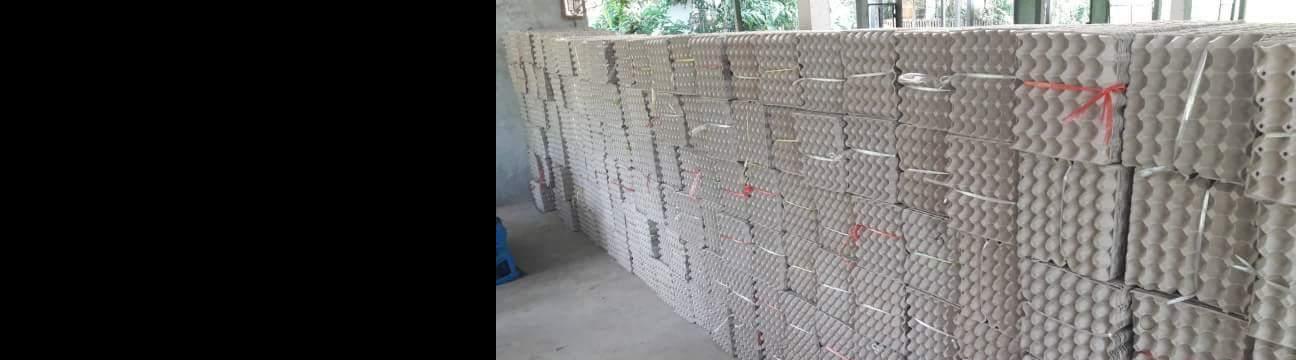 ตลาดขายถาดไข่กระดาษราคาส่งทั่วไทย