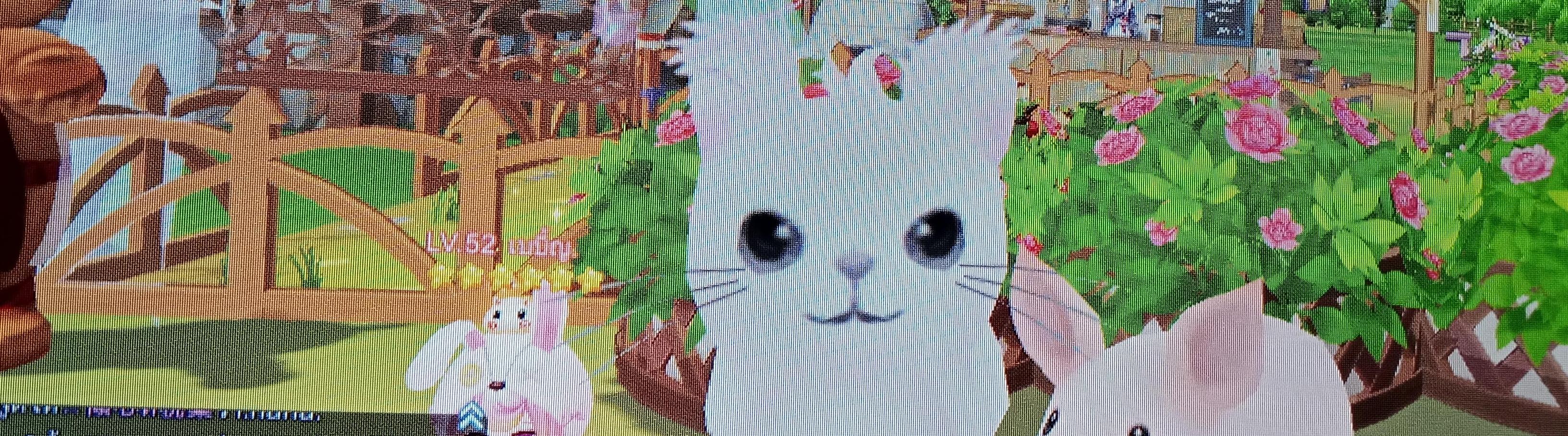 021 กัญญาณัฏฐ์ สังข์กลิ่นหอม