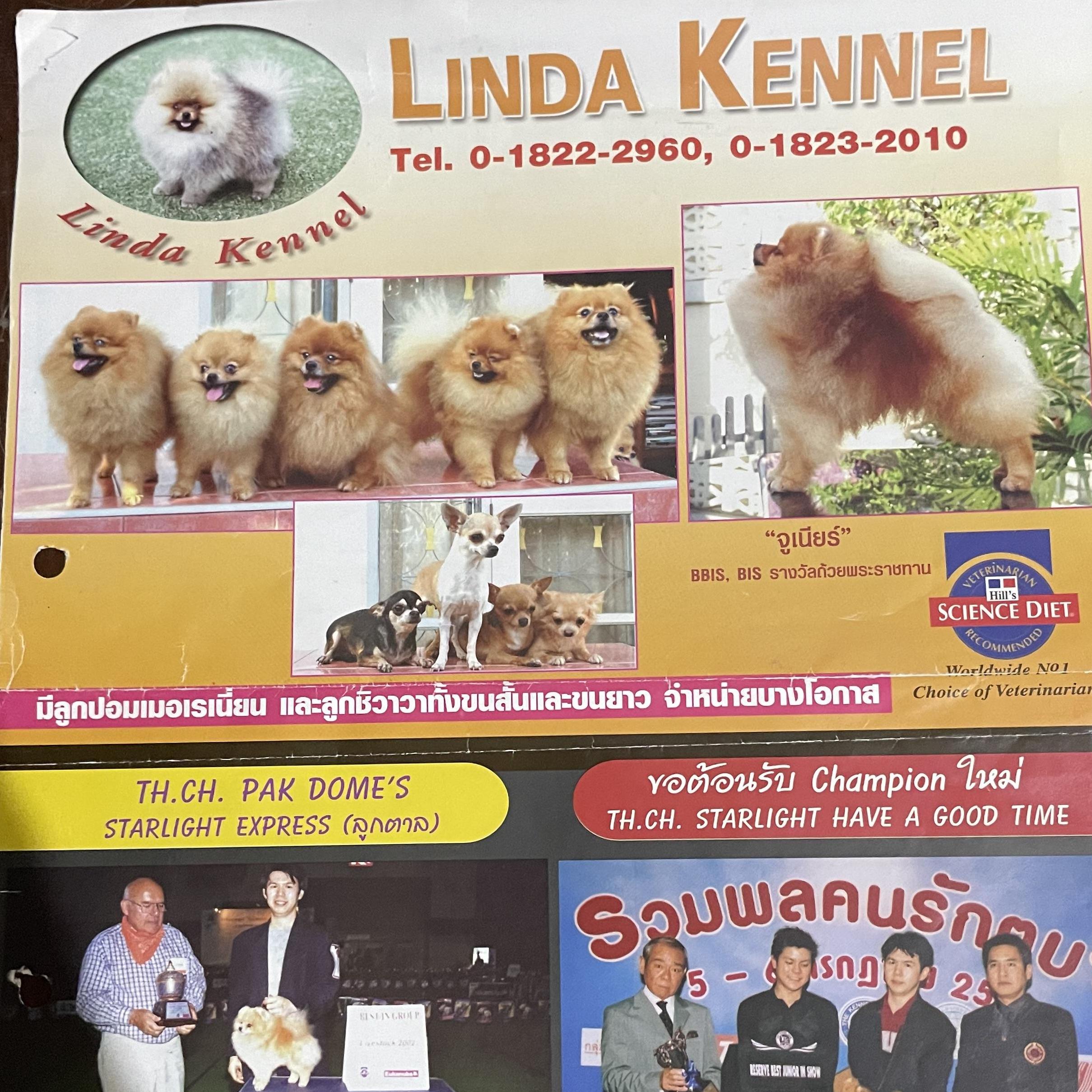 Linda  Kennel 