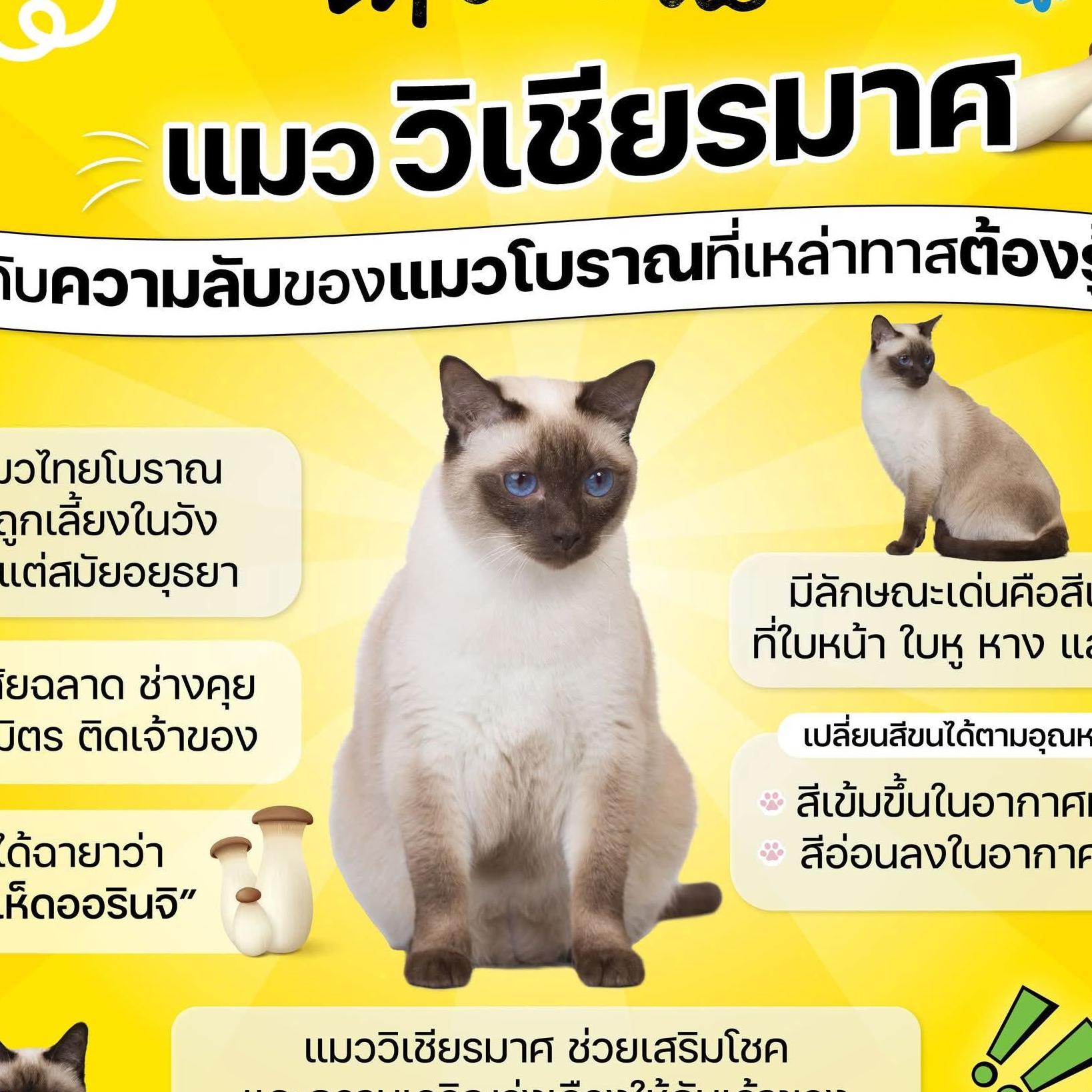 ไม่มีอะไร จะพูด