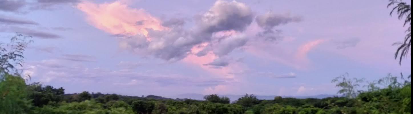 เตย' นิ่ง.