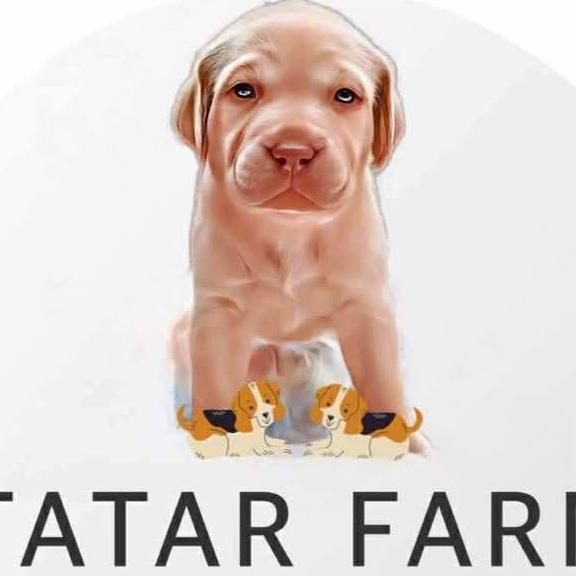 TATARFARM PAKCHONG 🐶