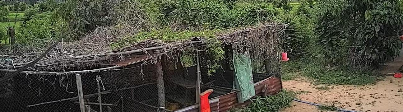 อินทุอร ศิริโท